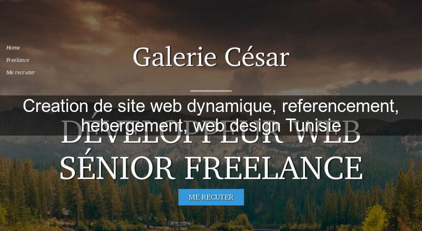 Creation de site web dynamique, referencement, hebergement, web design Tunisie Creation de site web dynamique, referencement, hebergement, web design Tunisie