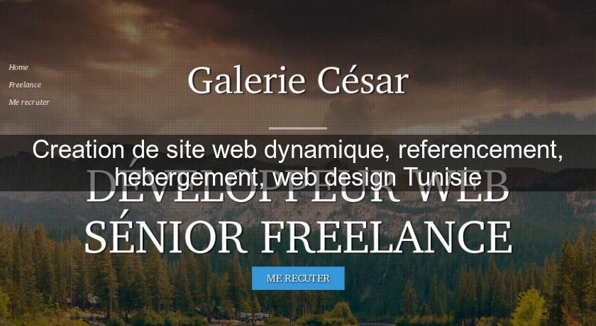 Creation de site web dynamique, referencement, hebergement, web design Tunisie