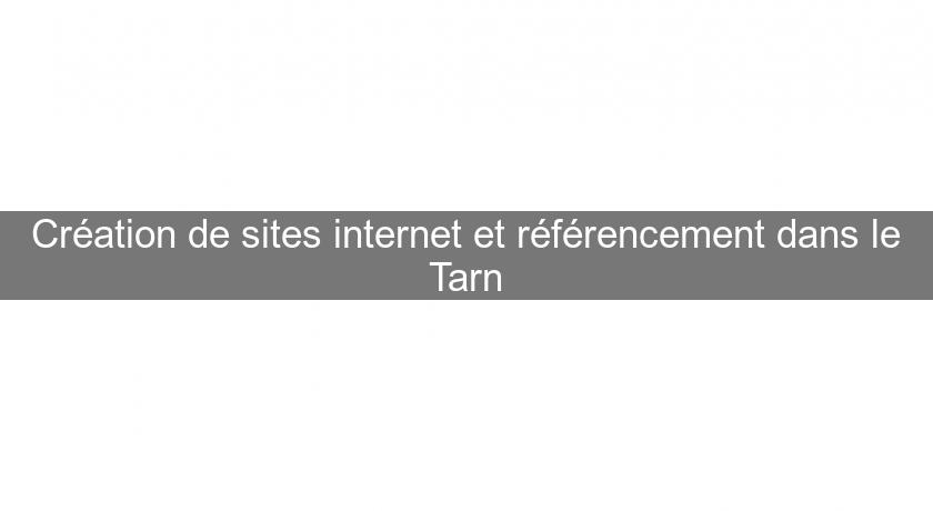 Création de sites internet et référencement dans le Tarn Création de sites internet et référencement dans le Tarn