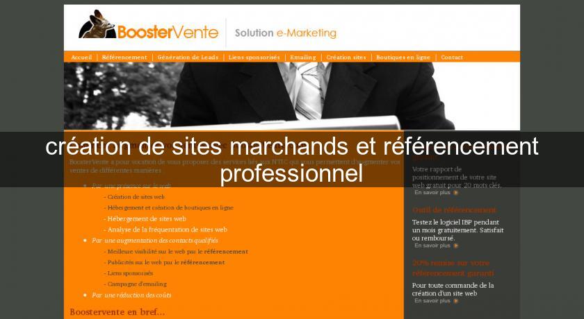 création de sites marchands et référencement professionnel