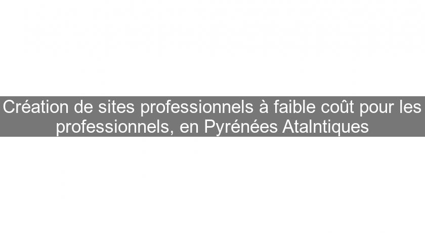 Création de sites professionnels à faible coût pour les professionnels, en Pyrénées Atalntiques