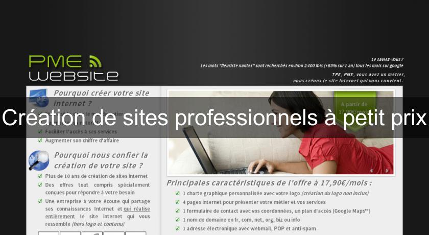 Création de sites professionnels à petit prix