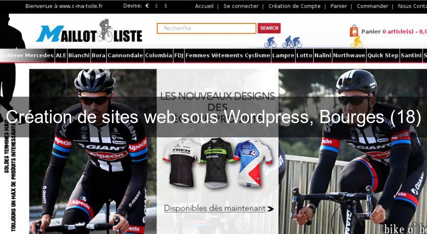 Création de sites web sous Wordpress, Bourges (18) Création de sites web sous Wordpress, Bourges (18)