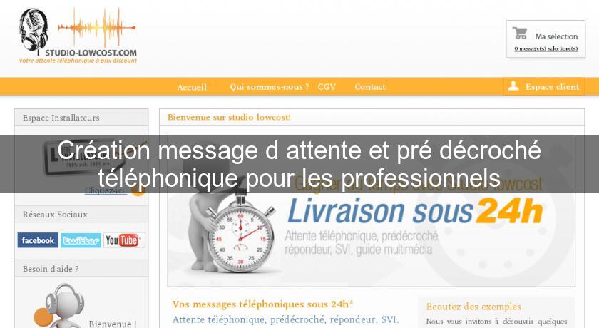 Création message d'attente et pré décroché téléphonique pour les professionnels