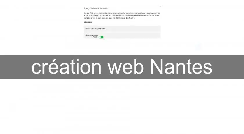 création web Nantes