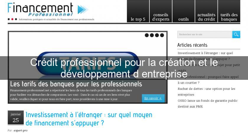 Crédit professionnel pour la création et le développement d'entreprise Crédit professionnel pour la création et le développement d'entreprise