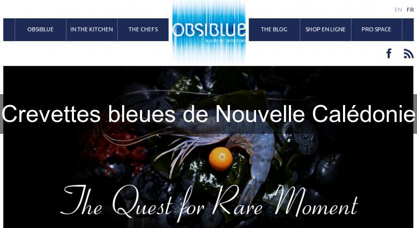 Crevettes bleues de Nouvelle Calédonie Crevettes bleues de Nouvelle Calédonie