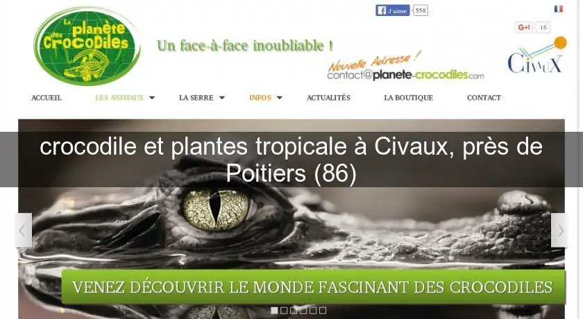 crocodile et plantes tropicale à Civaux, près de Poitiers (86)