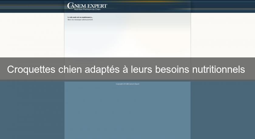 Croquettes chien adaptés à leurs besoins nutritionnels Croquettes chien adaptés à leurs besoins nutritionnels