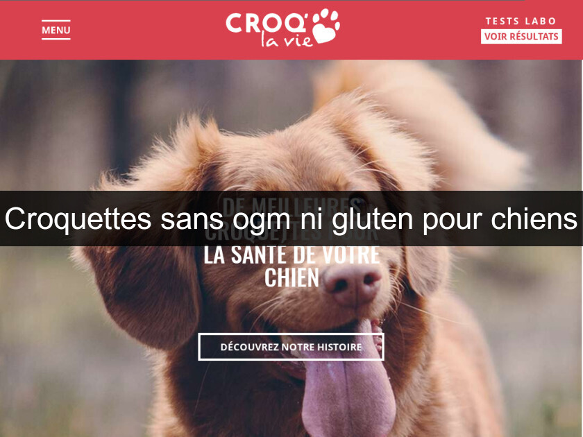 Croquettes sans ogm ni gluten pour chiens Croquettes sans ogm ni gluten pour chiens