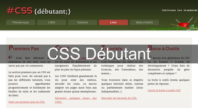 CSS Débutant CSS Débutant