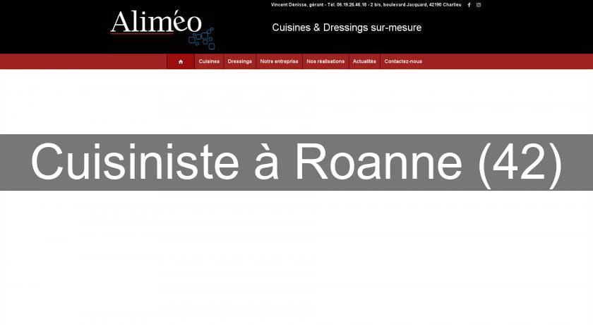 Cuisiniste à Roanne (42) Cuisiniste à Roanne (42)