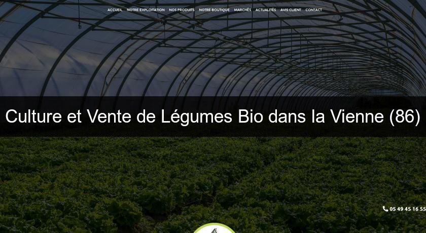 Culture et Vente de Légumes Bio dans la Vienne (86) Culture et Vente de Légumes Bio dans la Vienne (86)