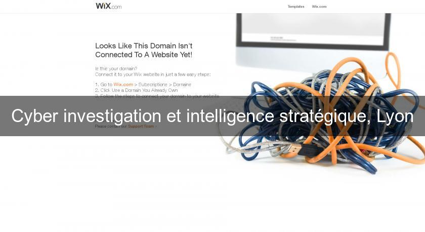 Cyber investigation et intelligence stratégique, Lyon Cyber investigation et intelligence stratégique, Lyon