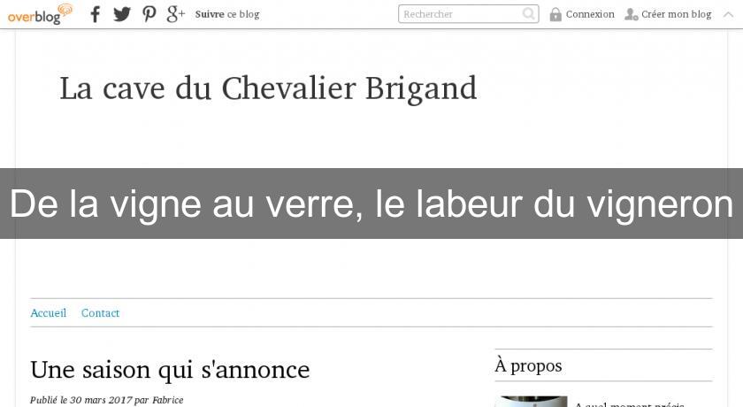 De la vigne au verre, le labeur du vigneron De la vigne au verre, le labeur du vigneron