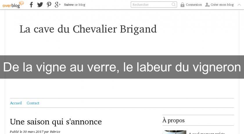 De la vigne au verre, le labeur du vigneron