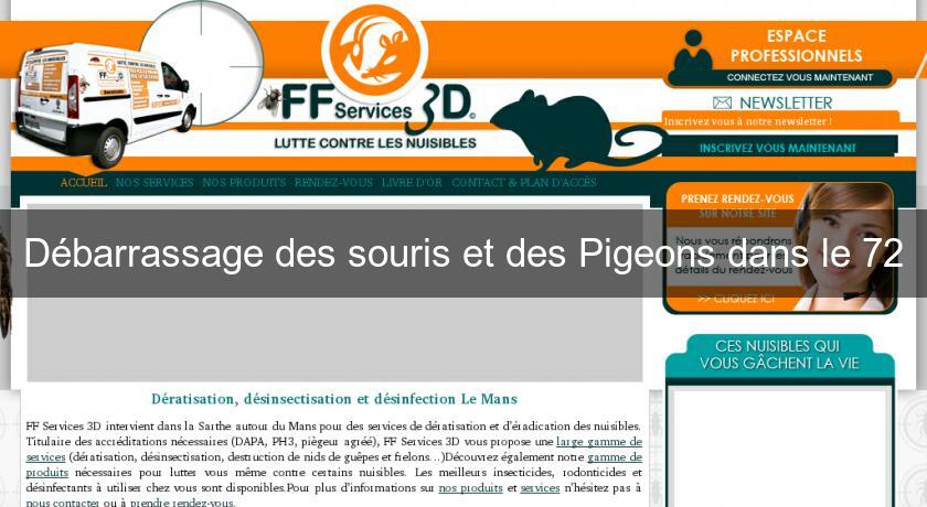 Débarrassage des souris et des Pigeons dans le 72 Débarrassage des souris et des Pigeons dans le 72