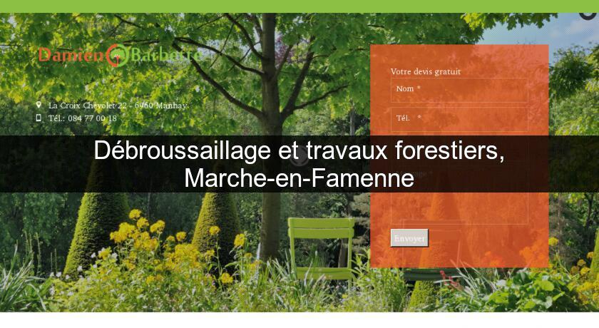 Débroussaillage et travaux forestiers, Marche-en-Famenne