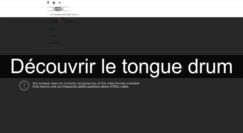 Découvrir le tongue drum