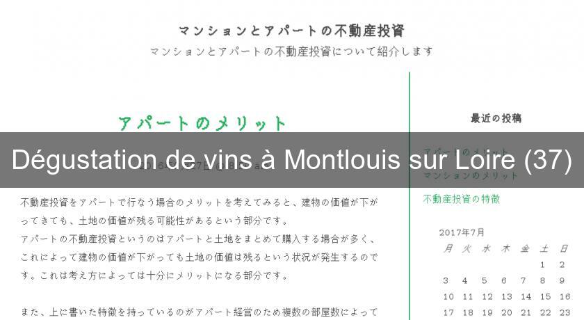 Dégustation de vins à Montlouis sur Loire (37) Dégustation de vins à Montlouis sur Loire (37)