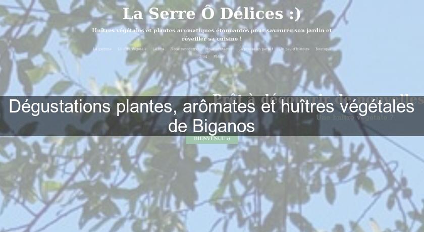 Dégustations plantes, arômates et huîtres végétales de Biganos