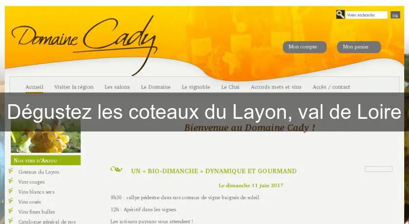Dégustez les coteaux du Layon, val de Loire
