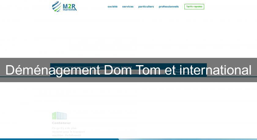 Déménagement Dom Tom et international Déménagement Dom Tom et international