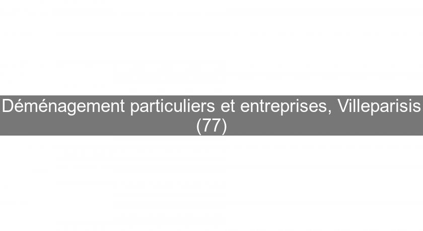 Déménagement particuliers et entreprises, Villeparisis (77)