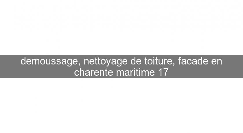 demoussage, nettoyage de toiture, facade en charente maritime 17