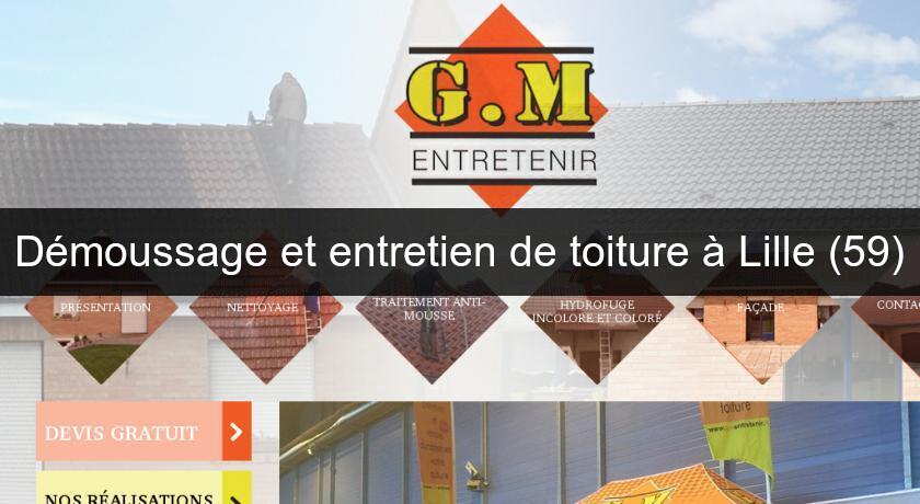 Démoussage et entretien de toiture à Lille (59) Démoussage et entretien de toiture à Lille (59)