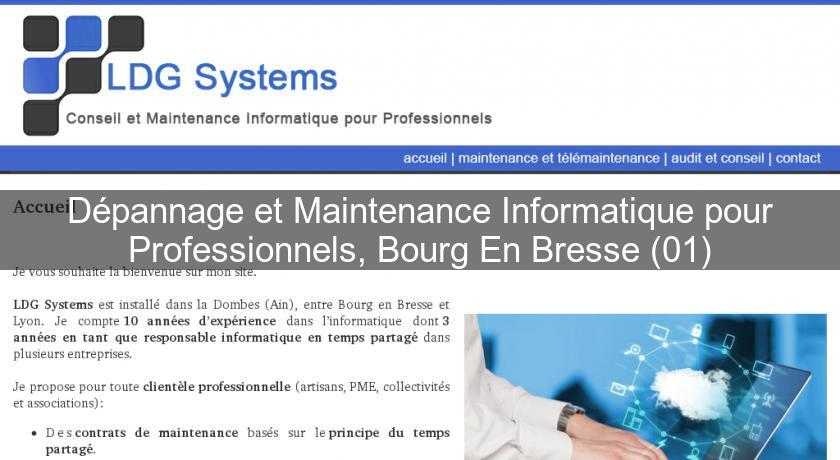 Dépannage et Maintenance Informatique pour Professionnels, Bourg En Bresse (01)