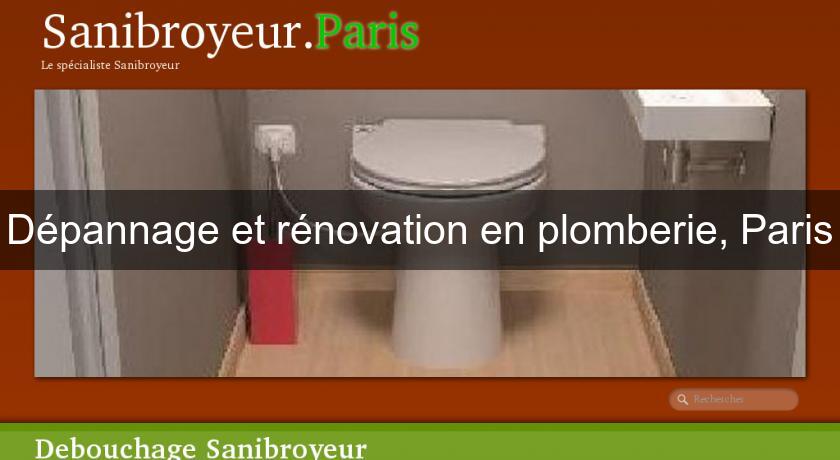 Dépannage et rénovation en plomberie, Paris