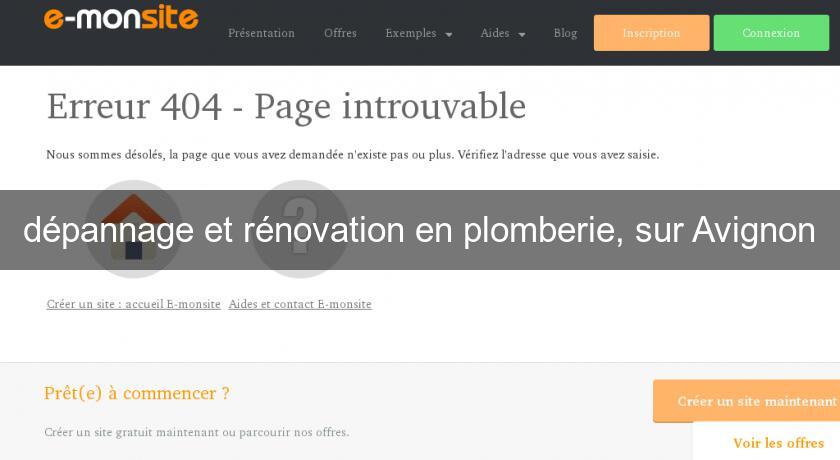 dépannage et rénovation en plomberie, sur Avignon