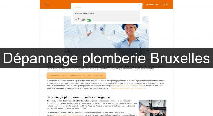 Dépannage plomberie Bruxelles Dépannage plomberie Bruxelles