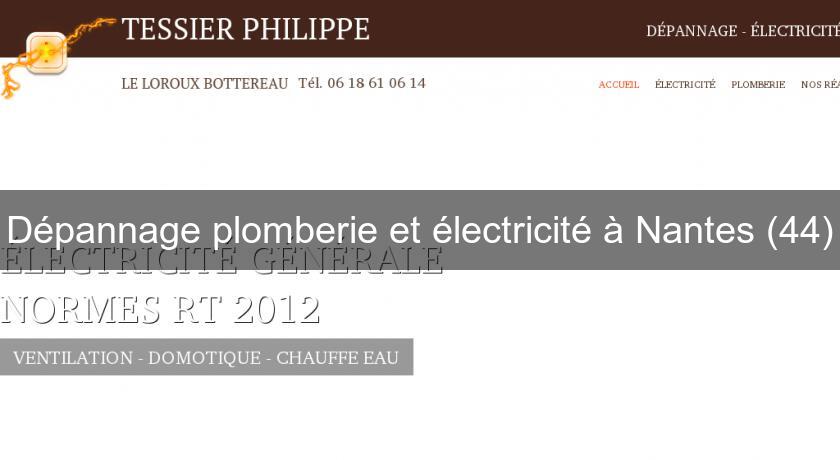 Dépannage plomberie et électricité à Nantes (44)