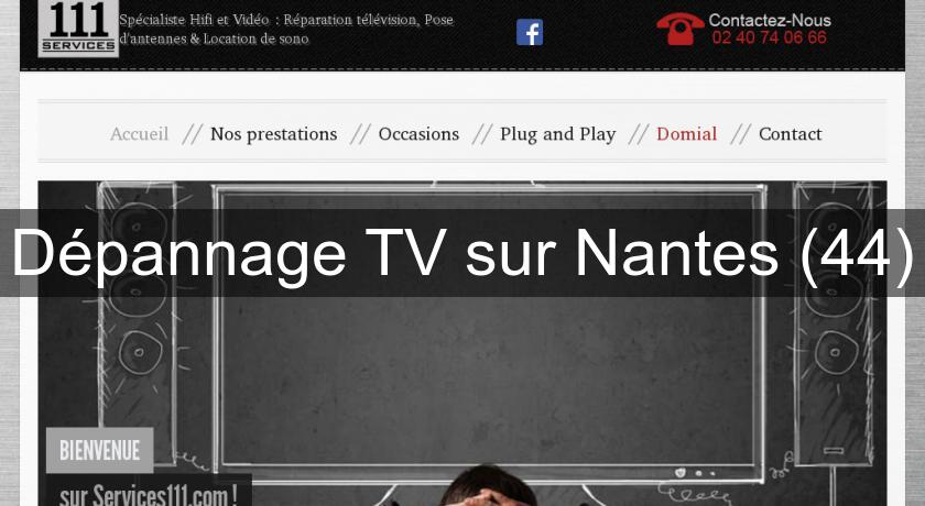 Dépannage TV sur Nantes (44) Dépannage TV sur Nantes (44)