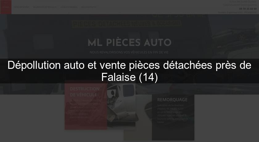 Dépollution auto et vente pièces détachées près de Falaise (14) Dépollution auto et vente pièces détachées près de Falaise (14)