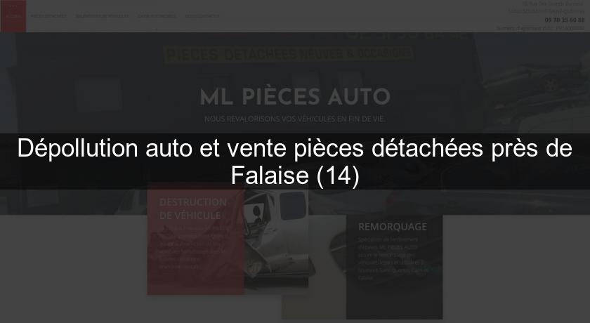 Dépollution auto et vente pièces détachées près de Falaise (14)