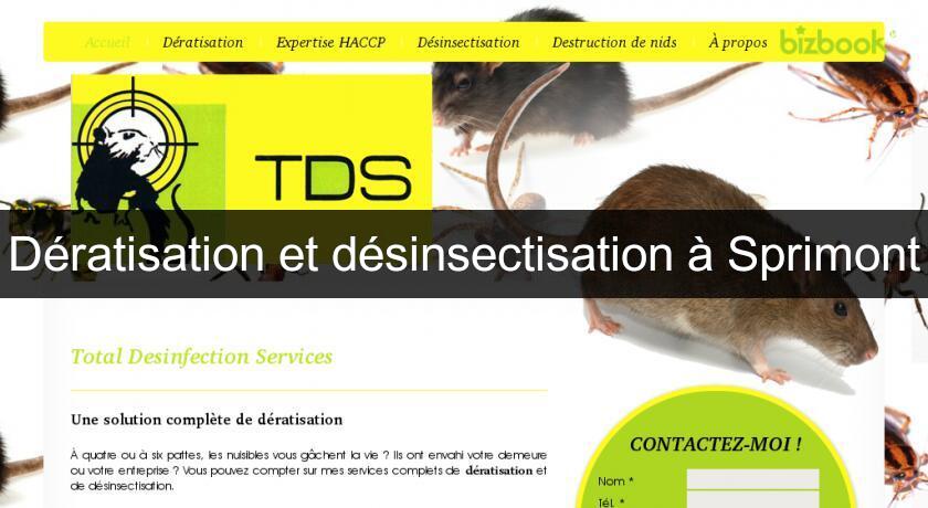 Dératisation et désinsectisation à Sprimont