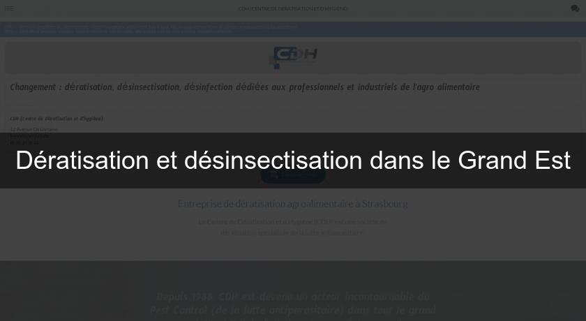 Dératisation et désinsectisation dans le Grand Est Dératisation et désinsectisation dans le Grand Est