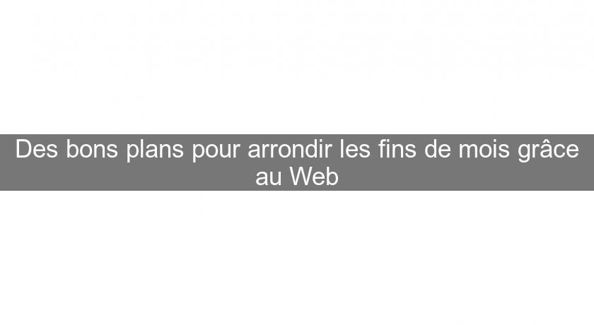 Des bons plans pour arrondir les fins de mois grâce au Web Des bons plans pour arrondir les fins de mois grâce au Web