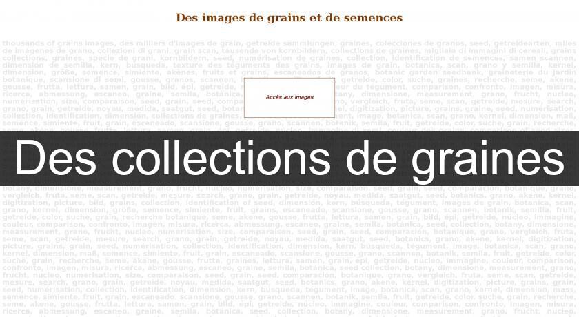 Des collections de graines Des collections de graines