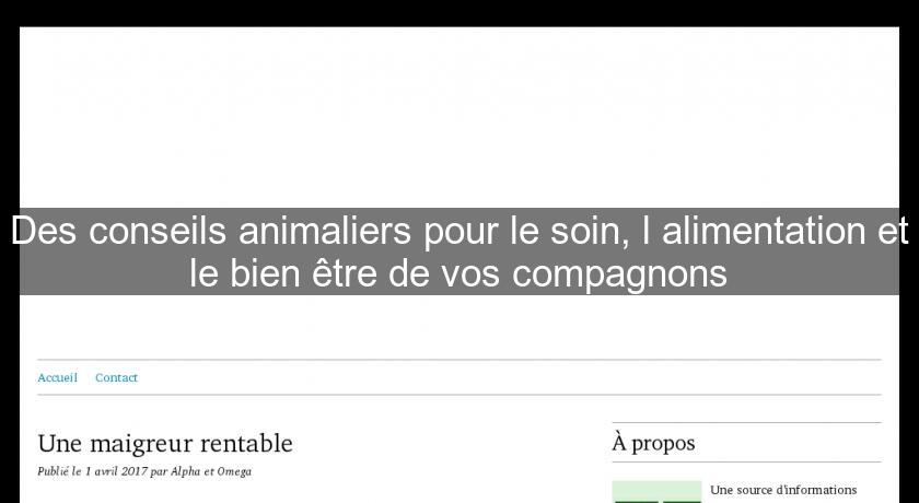 Des conseils animaliers pour le soin, l'alimentation et le bien être de vos compagnons