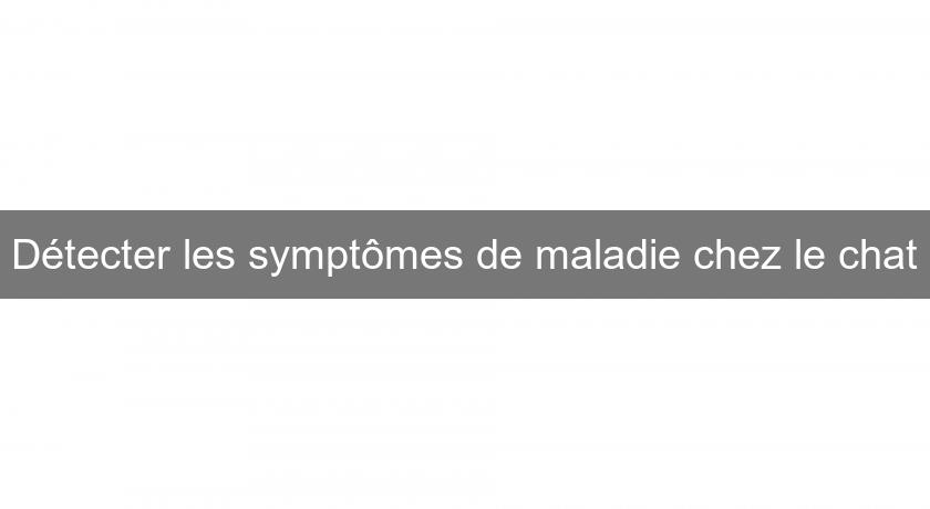 Détecter les symptômes de maladie chez le chat Détecter les symptômes de maladie chez le chat