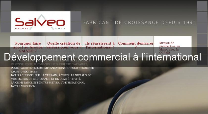 Développement commercial à l’international Développement commercial à l’international