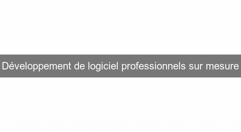 Développement de logiciel professionnels sur mesure Développement de logiciel professionnels sur mesure