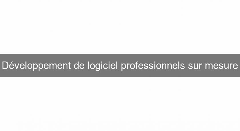 Développement de logiciel professionnels sur mesure