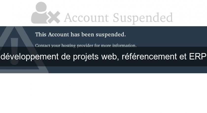 développement de projets web, référencement et ERP