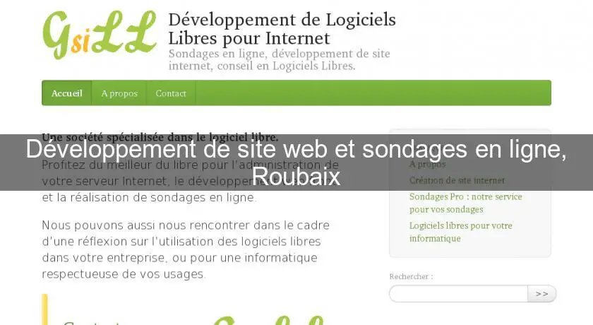Développement de site web et sondages en ligne, Roubaix