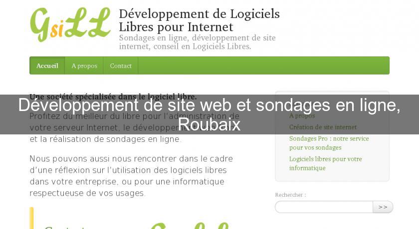 Développement de site web et sondages en ligne, Roubaix Développement de site web et sondages en ligne, Roubaix
